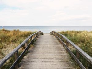 respiratory diseases research and education in north-carolina